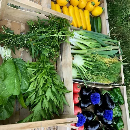 بيت للعطل Restored Farm Estate Near Atlantic Coast France La-Gripperie-Saint-Symphorien