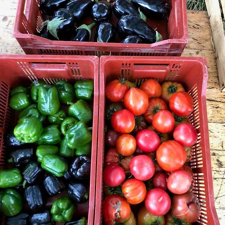 Restored Farm Estate Near Atlantic Coast France