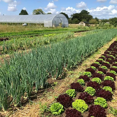 Restored Farm Estate Near Atlantic Coast France بيت للعطل *