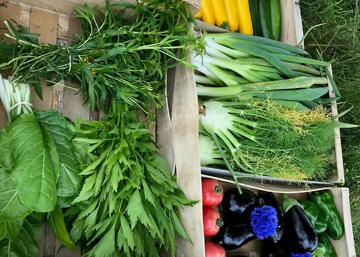 Vakantiehuis Restored Farm Estate Near Atlantic Coast France La-Gripperie-Saint-Symphorien