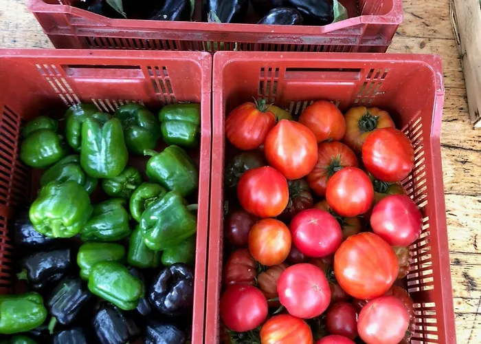 Restored Farm Estate Near Atlantic Coast France