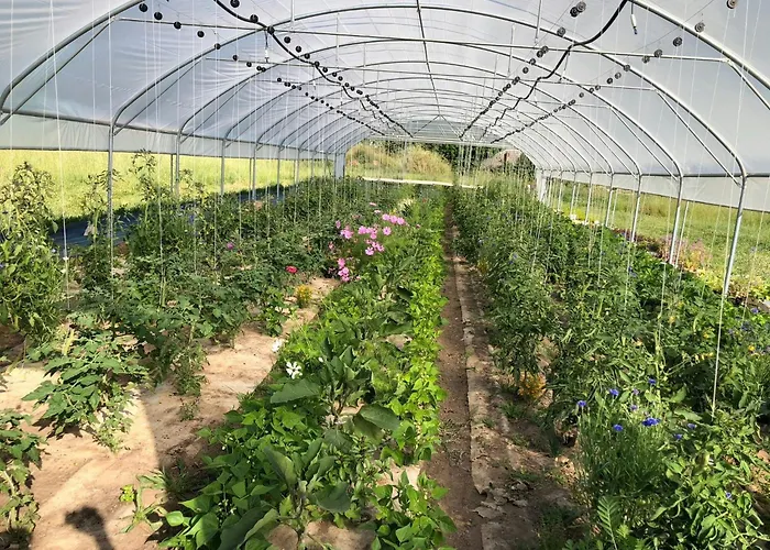 Vakantiehuis Restored Farm Estate Near Atlantic Coast France La-Gripperie-Saint-Symphorien